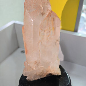 小米柱